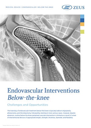 Endovascular Interventions Below-the-knee